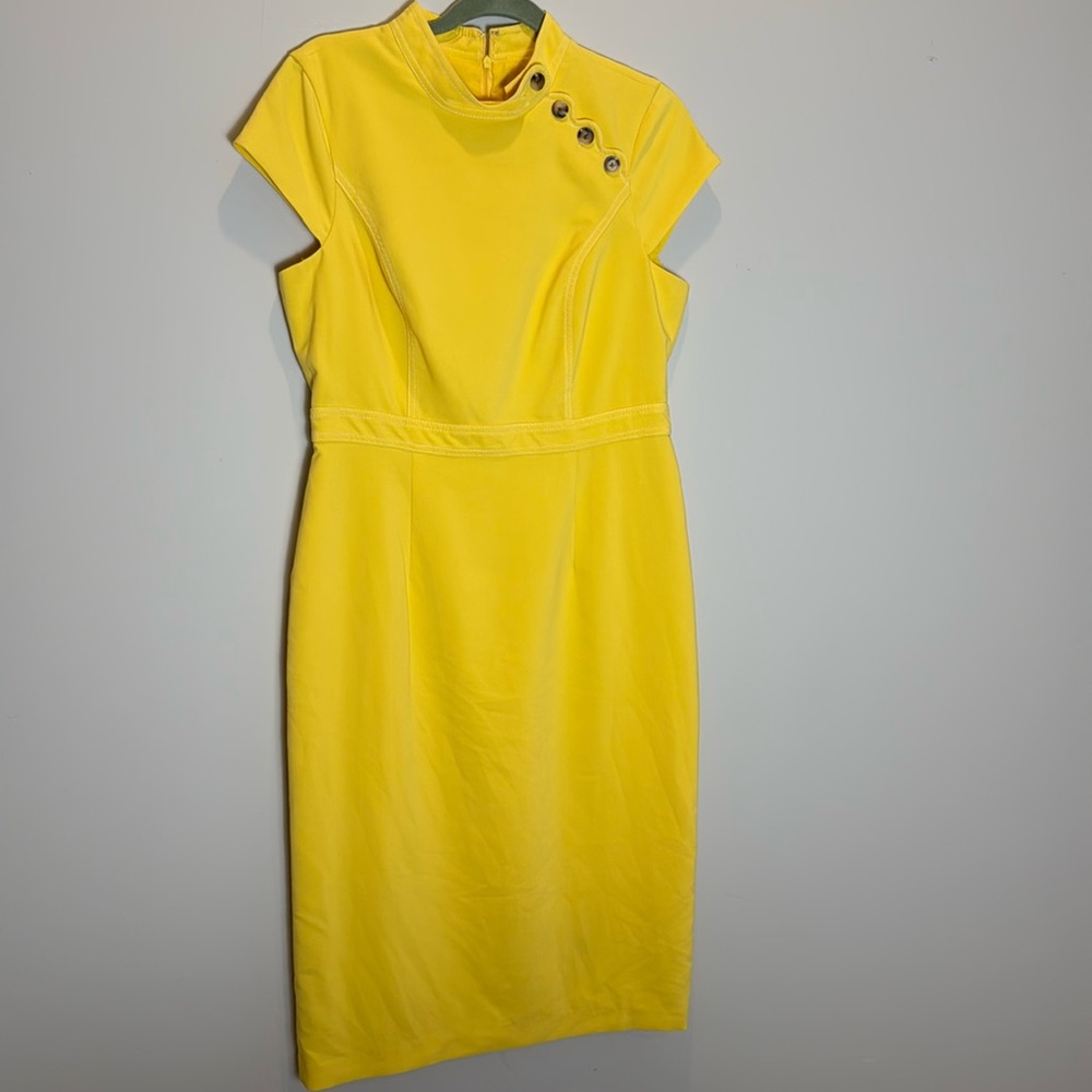 NWOT Oriental Inspired Maggy London Dress